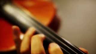 Video thumbnail of "Imagination Forest（想像フォレスト）-IA (Violin Cover)"