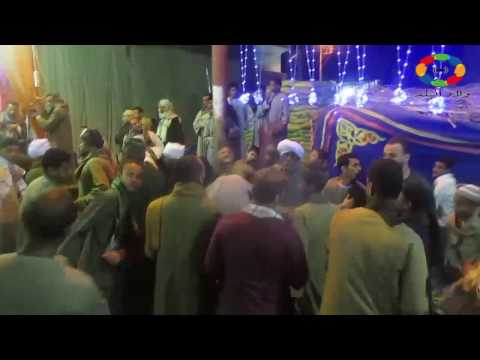فعاليات مولد الشيخ عامر بدشنا