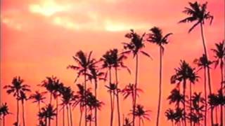 BBRAINZ: PALMTR33