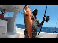 Reel Men Charter in the Maldives. What to expect from a popping trip!!