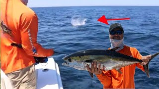 I headed off pensacola beach, florida with anglerup and bryan landry
in search of some offshore action cobia action. we ran into cobia,
tuna, amberjack. ...