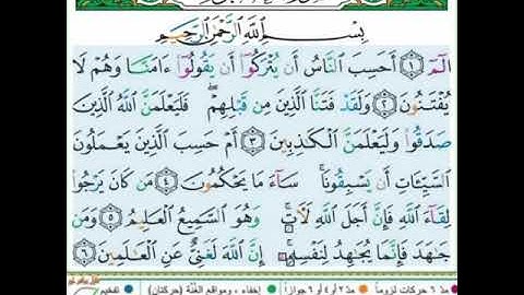 #سورة العنكبوت #تلاوة الآنسة سمية #ربط الآيات من 1الى 6#قليل دائم خير.