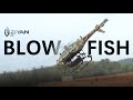 Feel the actual combat power of blowfish at zero distance