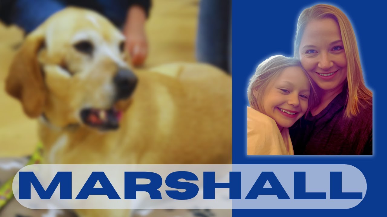 Reading Marshall the Miracle Dog by Cynthia Willenbrock - YouTube