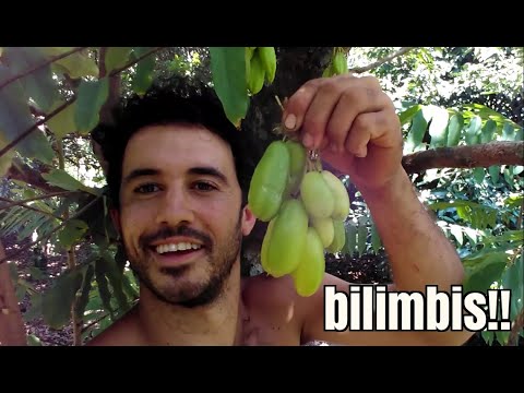 Vídeo: Bilimbi - Pepino