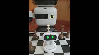 Is This the Best Ai Robot Ever Created? Must Watch! 🌟