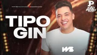 TIPO GIN - WESLEY SAFADÃO - REPERTÓRIO NOVO