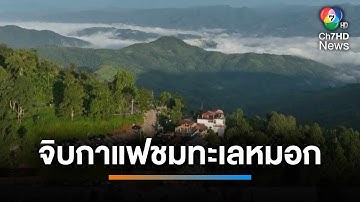 จิบกาแฟชมทะเลหมอก สัมผัสอากาศหนาวที่ "ดอยผาฮี้" | เช้านี้ที่หมอชิต