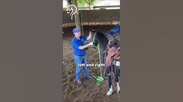 Quick Tips To Gain Confidence With Your Horse! | The Horse Guru-Michael Gascon