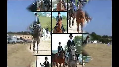 Ladies Side Saddle RDS Qualifier 2014