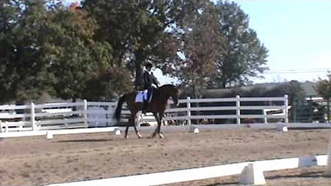 Allison Keeran and Mon Amour, 4th Level Test 1