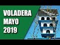Cría Canarios (Voladera Mayo 2019)