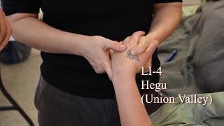 Acupressure: LI-4 (Large Intestine 4) Hegu Resimi