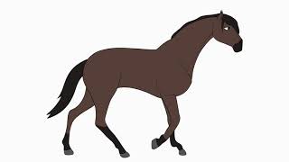 Pferde Animation | Horse Animation (Walk cycle)