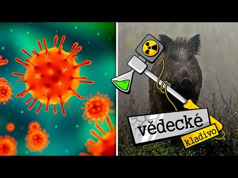 Video: Kultura Strachu: Jak Média Zabila Záběry Chřipky H1N1 - Matador Network