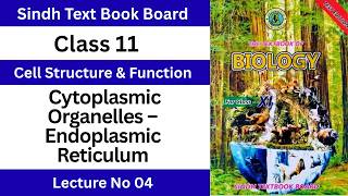 Endoplasmic Reticulum | Cytoplasmic Organelles | Class 11 Biology Chapter 3 | Sindh Board