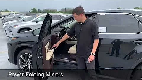 Power Folding Mirrors RX350