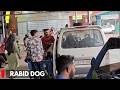 Rajouri: Rabid Dog Bites Six People, Sparks Public Concern