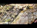 Multiple New Gold Deposits & High Grade Gold Ore Samples!