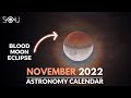 Don&#39;t Miss These Astronomy Events In November 2022 | Meteor Shower | Lunar Eclipse | Blood Moon
