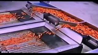 Calibradora Longitudinal Calong