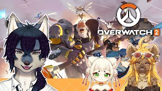 ｱｲﾆｰﾄﾞﾋｰﾘﾝｸﾞ!!【オーバーウォッチ2参加型】