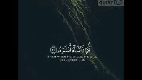 القارئ:طارق محمد ، سورة:عبس