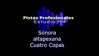 Sonora Altapexana - Cuatro Copas Karaoke