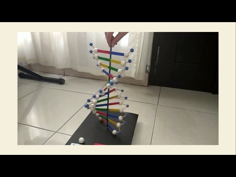 Cara Membuat Dna Dari Stik