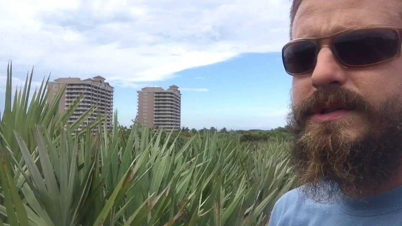 Florida Master Naturalist Program: Coastal Ecosystems