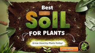 Top 20+ Why are silt and clay soil best for growing plants