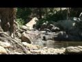 Ikaria nature -1- Chalaris riverbed