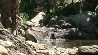 Ikaria nature -1- Chalaris riverbed