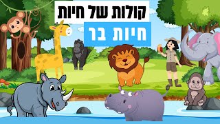 קולות של חיות בר לילדים בעלי חיים לתינוקות ופעוטות בעברית