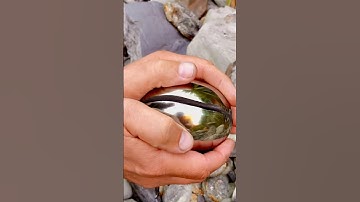 The surrounding shale is easily broken away 😍🦑 These ammonites are 180/190 Million Years Old 😵‍💫