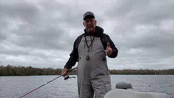 How clean is the St. Johns River?