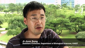 KAIST Researchers Like the Bio-Rad ChemiDoc™ MP System