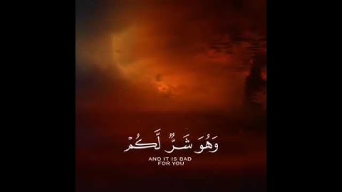 القرآن الكريم.. نختم بها يومنا. صوت جميل جدا.. حالات واتس أب 💖