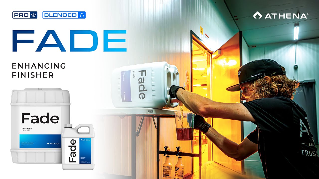 Athena® Fade