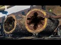 Dangerous Moment as Workers Split 2 Logs at Once with High Speed Saw