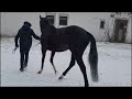 BBAG Christmas Online-Sale 2023 - Lot 52 Joline