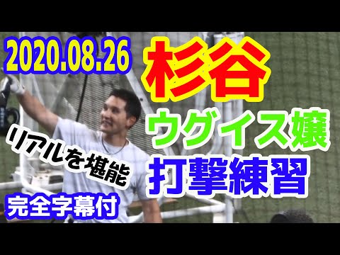 杉谷拳士選手恒例 西武ウグイス嬢によるいじりフリーバッティング「杉谷選手のリアルをご堪能下さい」20200826メットライフドーム【完全字幕付】