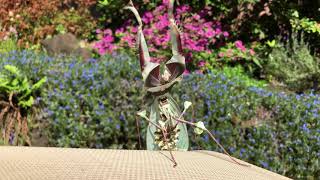 'Fear me!': Mantis Puts on Impressive Show With Its 'Startle Display'