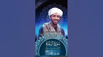 الشيخ عفيف  محمد تاج سورة البقرة