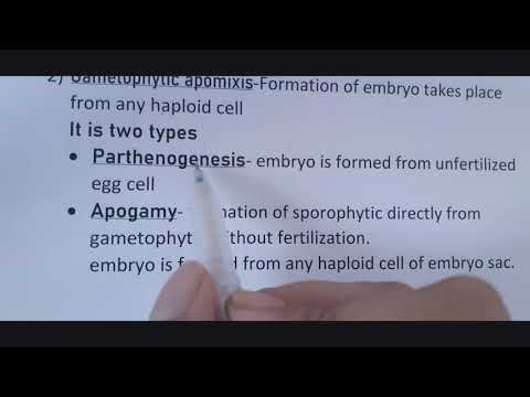 Video: Opuntia adventiv embrion göstərirmi?
