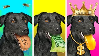 My Magic Dog Grants Wishes | Rich vs Broke vs Giga Rich Dogs by Challenge Accepted