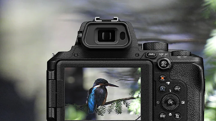 Top Best Nikon Cameras for Wildlife Photography