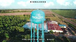 BigWalkDog - For Certain (feat. BIG30) [Official Audio]