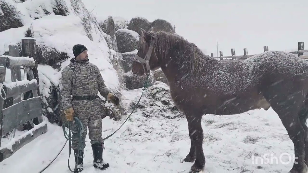 Смотреть видео Смотреть видео