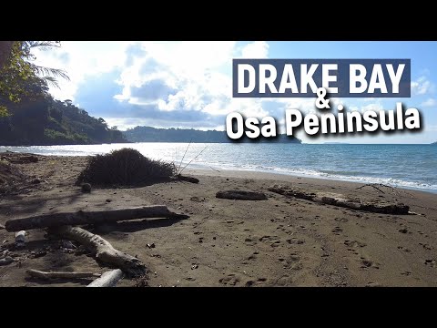 Drake Bay - Costa Rica's Most Adventurous Corner | Osa Peninsula Travel